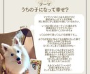 1枚引きで大切な家族の気持ちを占います タロットカード：ペットちゃんの気持ち占い イメージ7