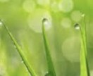 あなたに必要なパワーストーンをお伝えさせて頂きます ストーンの組み合わせ、デザイン(手書き)など色々です イメージ1