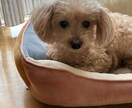 ゆっくり寄り添い、心のお悩み聞かせていただきます 気軽にお話していただけるように心がけています＾＾ イメージ1