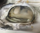 お暇な方、愚痴でも雑談でも1分からでも聴きます 楽しい一時を一緒に過ごしましょう！ イメージ3