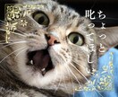 そばにいるよ。心を軽くする会話をします 抱えている思いを取り除いて♡心が前に進むお手伝いをします。 イメージ8
