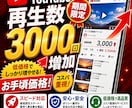 期間限定！最安！Youtube再生数3千増やします 期間限定の価格崩壊！同サービスと比較してください イメージ1