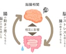 あなたのパフォーマンスを分析します あなたのプレーを“構造”から読み解くパフォーマンス分析 イメージ5