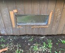 害獣駆除　ネズミ駆除のアドバイスします 業者に頼む前にご自身で対策◉女性スタッフが対応します◉ イメージ2