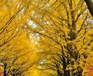 北海道旅行での旅行相談を提案致します 北海道旅行の最高の思い出の1ページを一緒につくりませんか? イメージ2