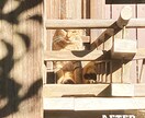 旅行、お出かけの写真を編集します 沢山撮ったお写真を写真業で培ったカメラマン目線で編集します！ イメージ5