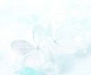 ツインレイを語り合う！気づきを得るお手伝いします 知識や体験談を共有して学びと成長につなげましょう♩ イメージ1