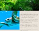 集客に強いLPを作ります 価格はリーズナブルだけど品質は安心 イメージ3