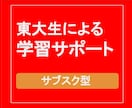 塾講経験豊富な元東大生が学習コンサルティングします 勉強に関する相談から質問対応までサブスク定額サポート！ イメージ1