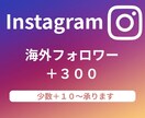 instagram "海外フォロワー" 増やします ＋300～　【少数＋10】からも承ります。 イメージ1