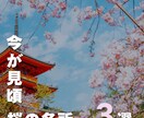目に留まりやすいインスタのフィード投稿作ります ターゲットに刺さるデザイン・文言でフィード投稿を作成！ イメージ7