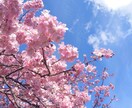 春らしい気持ちにします 新しい季節の職場関係をスッキリさせましょう。 イメージ1
