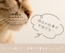 HSPさんの悩み相談をやさしくお聴きします 2000人の繊細さんと会ったHSP交流会主催者が寄り添います イメージ3