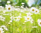 うつ病・うつ症状の辛さ苦しさ、共感し受け止めます うつ症状１０年経験した私に話して楽になろう(^-^) イメージ7