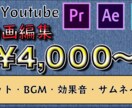 格安4,000円！YouTube用動画編集します 現役YouTuberの動画編集を今だけ¥4,000から！ イメージ1
