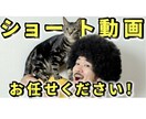 理想の動画を制作します ・TikTok・YouTube・インスタお任せください！ イメージ1