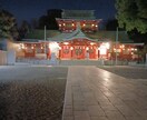 全てを見ることができます 全てを見ることができます 何でもいいです イメージ2
