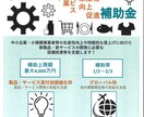 ものづくり補助金の採択事業計画書を提供いたします 補助金でドローンを導入し新しいサービスを行う事業測量事業者 イメージ1