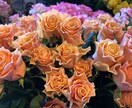 心に癒しを♪部屋に合う季節のお花をお届けいたします 1人1人のお客様と相談しながらお花を選びます♪ イメージ2