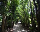 沖縄へ旅行・移住を考えている方の相談に乗ります 沖縄出身者の視点からアドバイスできます！ イメージ2