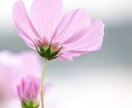 恋愛・仕事の悩み｜整理・言語化｜背中を押します ✨もやもやサイクルはもう終わりにしたい✨初回体験５００円✨ イメージ9