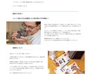 WebマーケターがWordPressサイト作ります Webマーケティングの技術を駆使して売れる仕掛けをサポート イメージ2