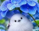 60分ココナラチャットで楽しくおしゃべりします どんなおしゃべりをしたいか教えてくださいね イメージ8