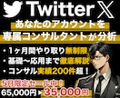 X,Twitterをプロが１ヶ月徹底コンサルします あなたのアカウントに必要な運用戦略やXの解説など／質疑応答◎ イメージ1