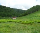 電話教育相談をします お子さんのしつけ、学習のお悩みのご相談を承ります イメージ4