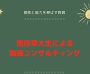 現役早大生が勉強の悩みを解決します 早慶四学部に現役合格した私が勉強法や質問などをサポートします イメージ1