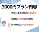 めんどくさい字幕作業を卒業できます 10分3000円～承っております イメージ3