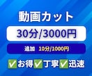 不要部分をカットして見やすい動画に整えます ✅お得✅丁寧✅迅速　期待以上のサービスを提供します イメージ1