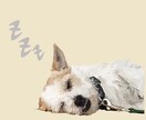 イラスト制作を致します 心に残るイラストをお届けします！！ イメージ1