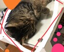 リーディングいたします タロットフルデッキ☆ペンデュラムでダウジング☆ イメージ1