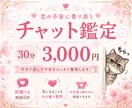 チャット鑑定 30分⭐️あなたの悩みに寄り添います 恋愛、仕事、人生相談・・心が軽くなる30分 イメージ1