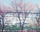 韓国のこと！趣味〜ビジネスまで何でもお答えします 検定試験,日常会話,ビジネス翻訳,音楽,メイク,市場調査等 イメージ2