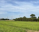 今すぐ話したい！１分だけでもお話お聴きします 20代男の元教員、うつ病経験あり優しくお話できたらと思います イメージ6