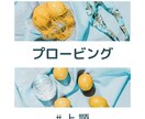 プロービング操作をわかりやすく伝授します 上顎のプロービング操作がわかる！わかる！ イメージ1