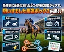 直前の迷いを排除する「馬連ボックス選定術」教えます 回収率と的中率の黄金比！完全無裁量の馬連均等掛けノウハウ イメージ3