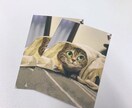 ペットのイラストをグッズにします ワンチャンネコちゃん達をいつも身近に！ イメージ2