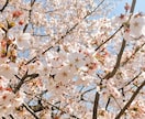 個人情報不要✮30分間チャット占いします 5分間ヒーリングサポートつき✨ イメージ4