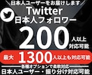 Twitter日本人フォロワー200人増やします 高品質な日本人のフォロワーによる認知拡大をサポートします イメージ1