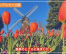 何度でも修正OK！動画編集承ります おしゃれな編集が得意です！丁寧に対応いたします！ イメージ4