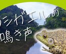 YouTubeサムネイル作成します 1枚～プランと1ヶ月20枚までプランがあります！ イメージ9