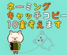 ピッタリ以上の"アイディア"をお届けします ネーミングorキャッチコピー10+3案どんなもの考えます イメージ1