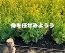 1分からOK！メンタル疾患当事者が相談に乗ります 気分変調症の私があなたに寄り添います。 イメージ7