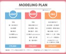 Live2Dモデリング承ります 一枚絵、パーツ分け・修正対応可能！ イメージ2