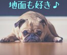 モテ効果抜群❤️笑うことであなたの魅力アップします 毎日ポジティブ⭐️心を明るく前向きにして幸運を引き寄せましょ イメージ8