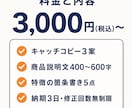 EC商品説明文を作成いたします キャッチコピー・説明文・特徴を1セットでお届け！ イメージ3