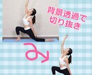 画像の切り抜きを承ります 5枚で1,000円！画像加工/画像切り抜き/白抜き/合成 イメージ2